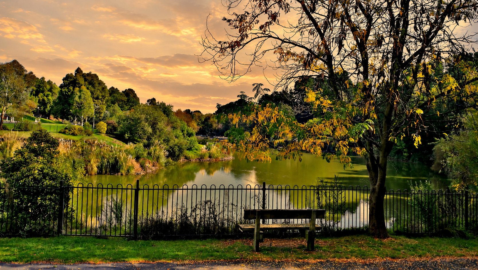 Wilson Botanic Park in Berwick at sunset, with the lake, gardens, trees and a park bench